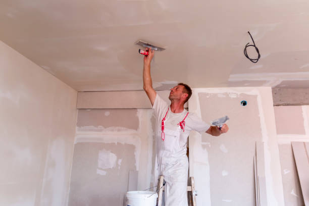 Best Drywall Removal and Disposal  in Valencia West, AZ